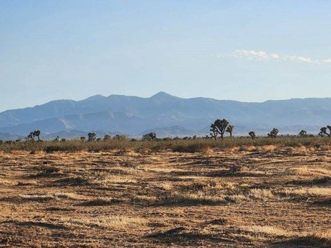 5 Acre Corner Lot