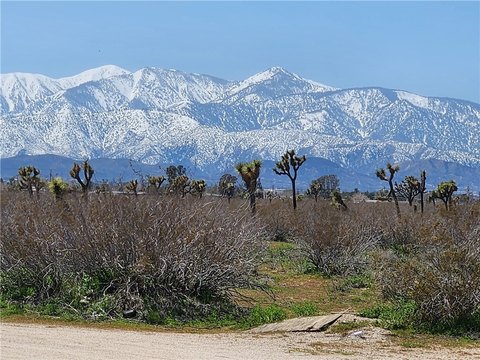 5 Acre Corner Lot