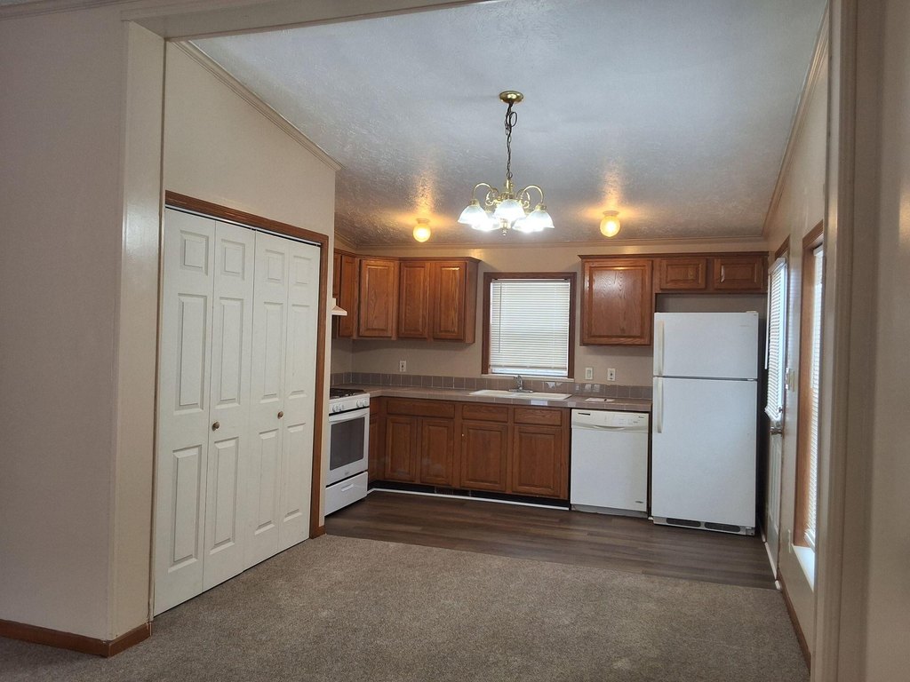 Picture 26