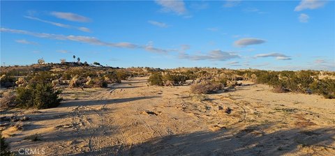 Vacant Land Near Joshua Tree