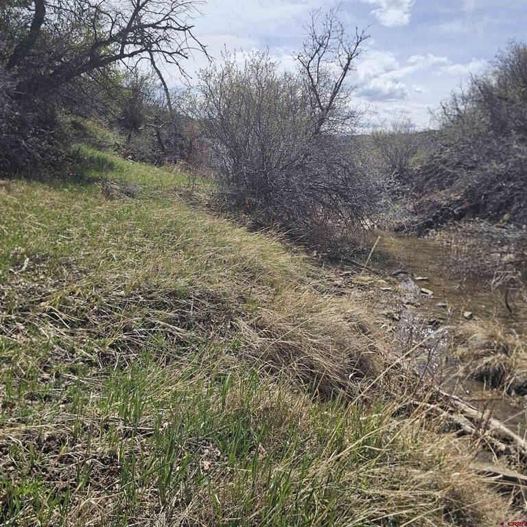 Picture 26