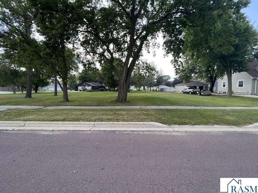 Picture 10
