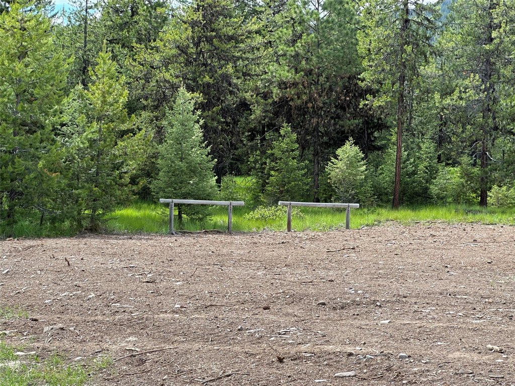 Picture 12