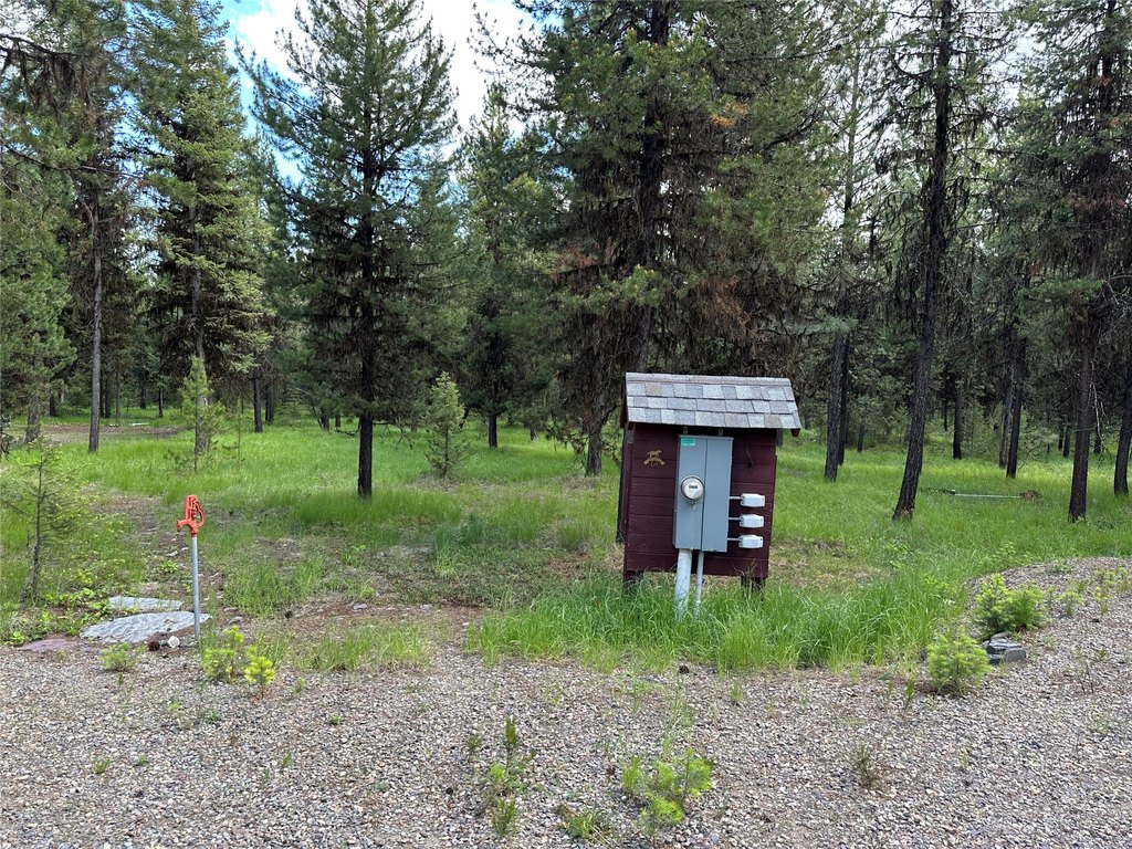 Picture 6