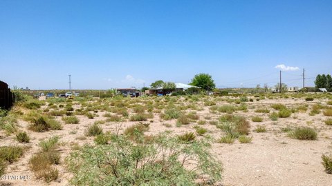 Land, Clint, TX