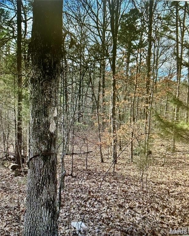 Potosi Land for Recreation/Hunting