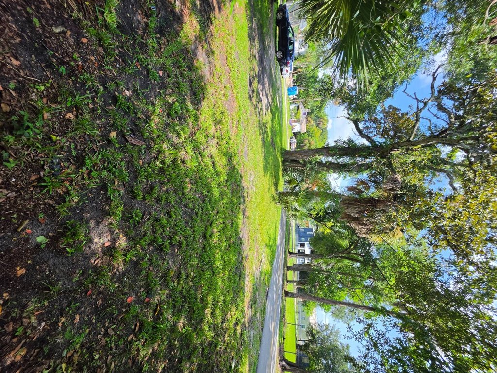 Picture 2