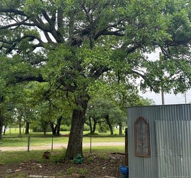 Land with Shop in Ardmore