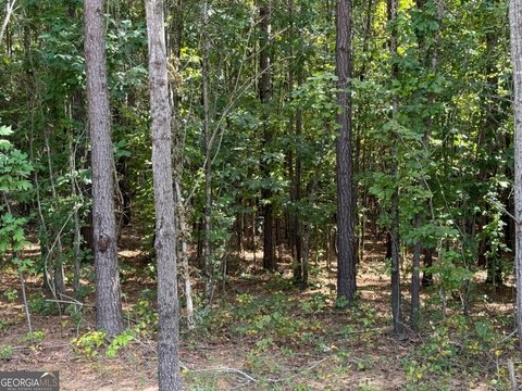Land, Dallas, GA