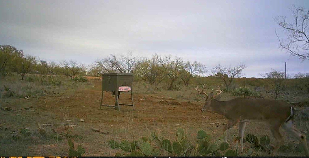 Picture 29
