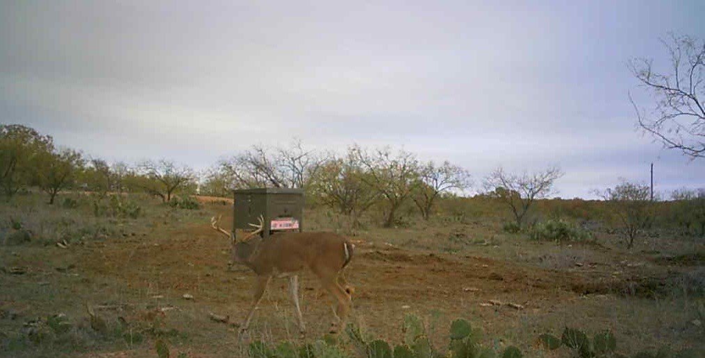 Picture 30