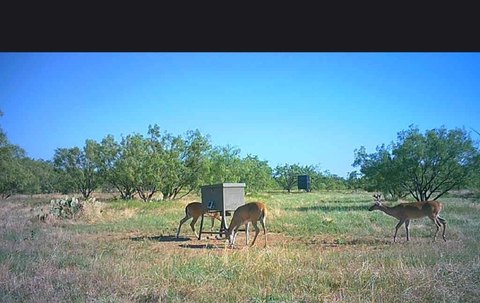 Fully Fenced Hunting and Recreational Land