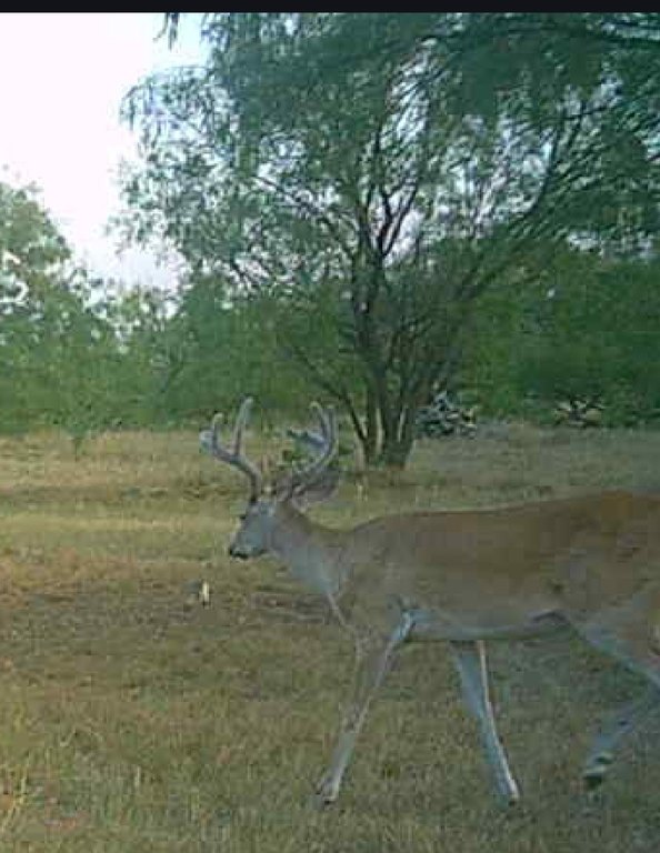 Picture 7