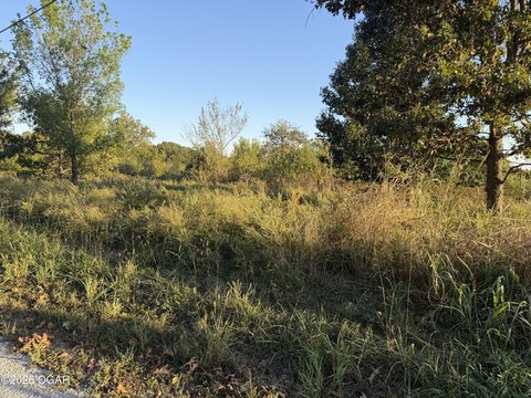 Land, Joplin, MO