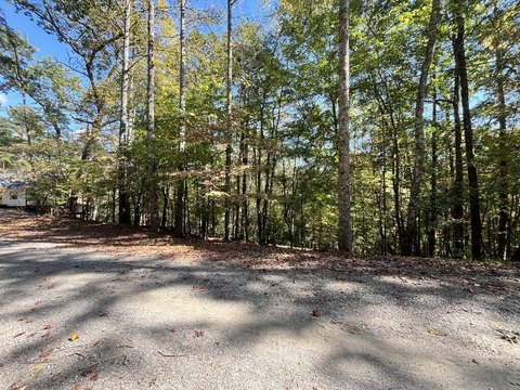 Vacant Lot, Ellijay, GA