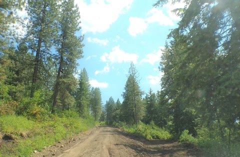 Timbered Recreation Land