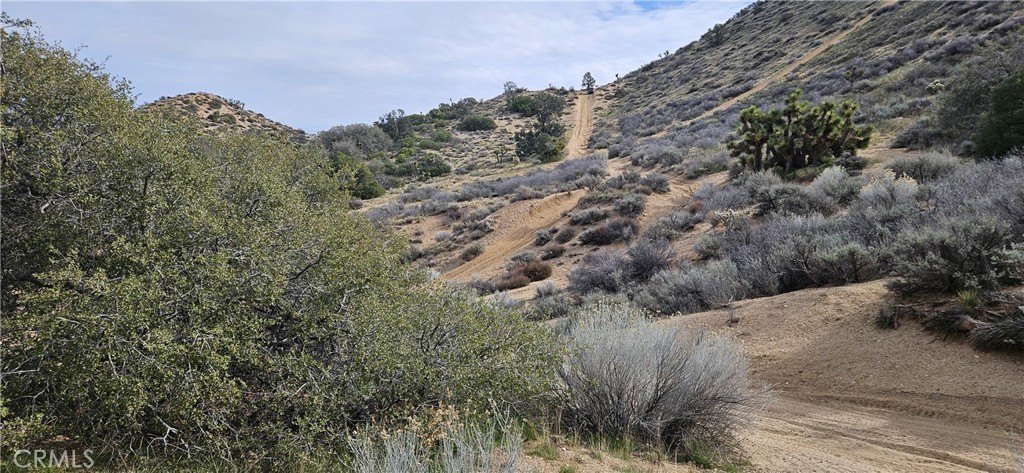 Picture 25