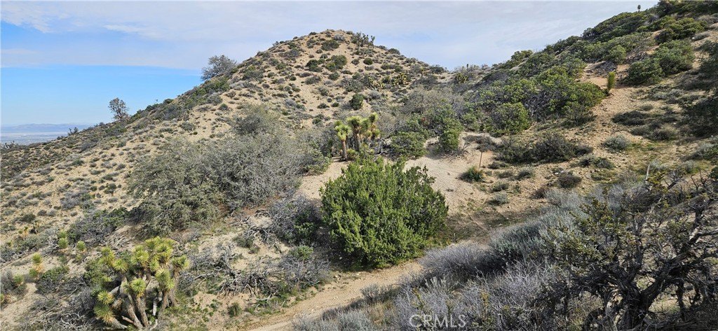 Picture 29