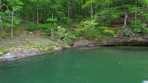 LAND - DOUBLE SPRINGS, AL