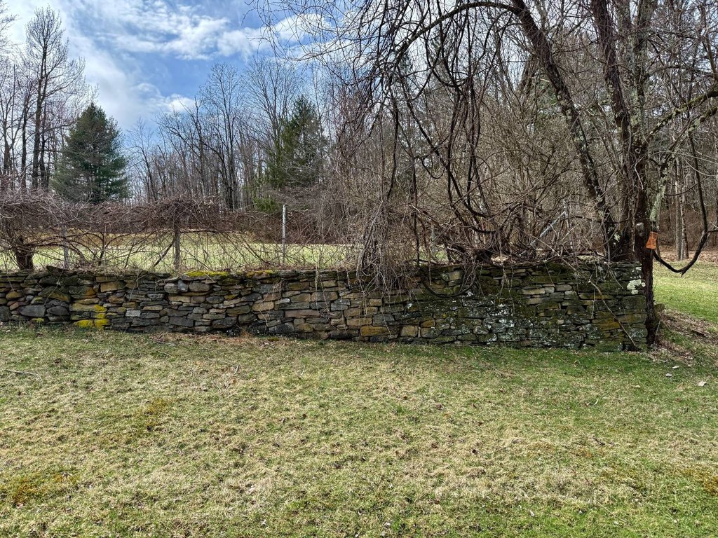 Picture 38