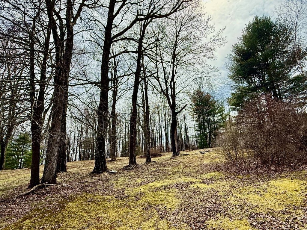 Picture 41