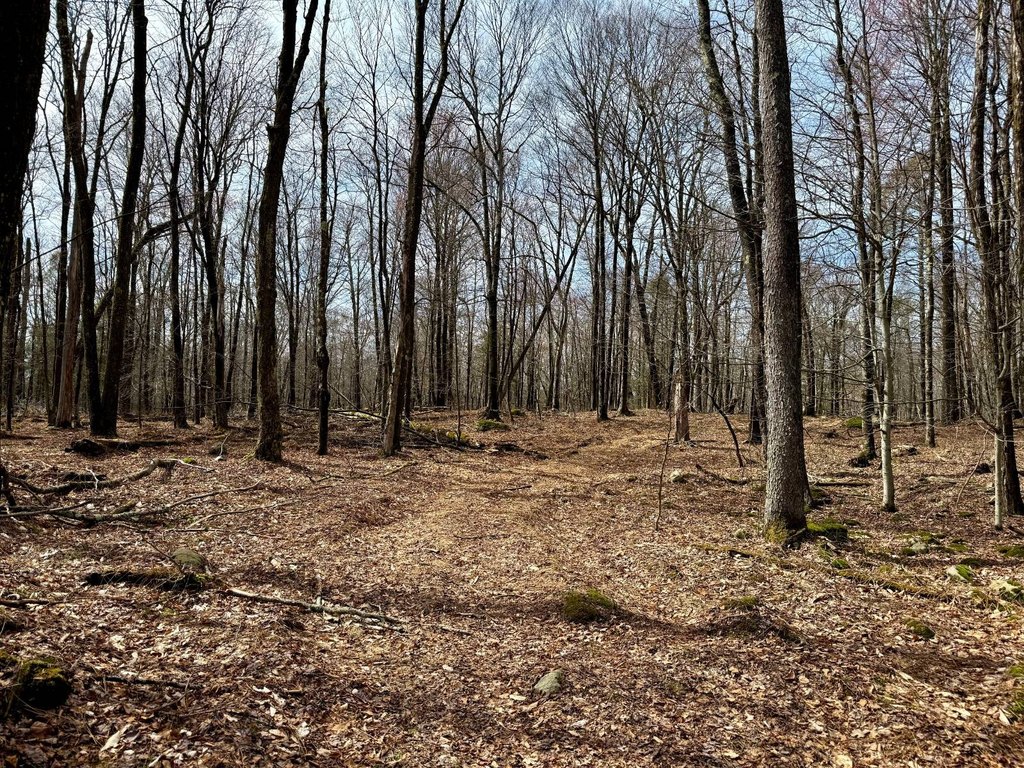 Picture 33