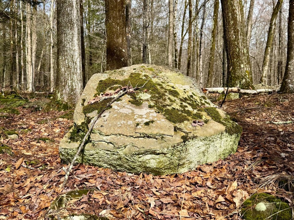 Picture 16