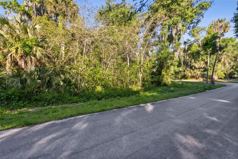 De Leon Springs Land Opportunity