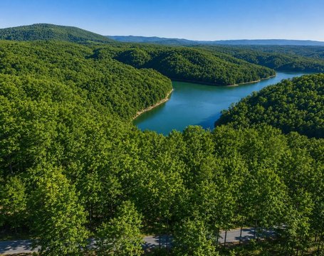 Dale Hollow Lake View Lot