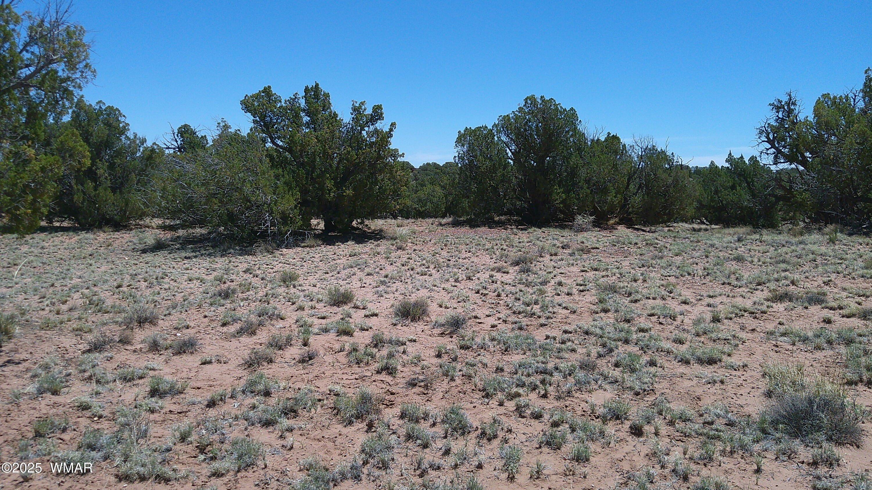 Concho, AZ 38.5ac Land