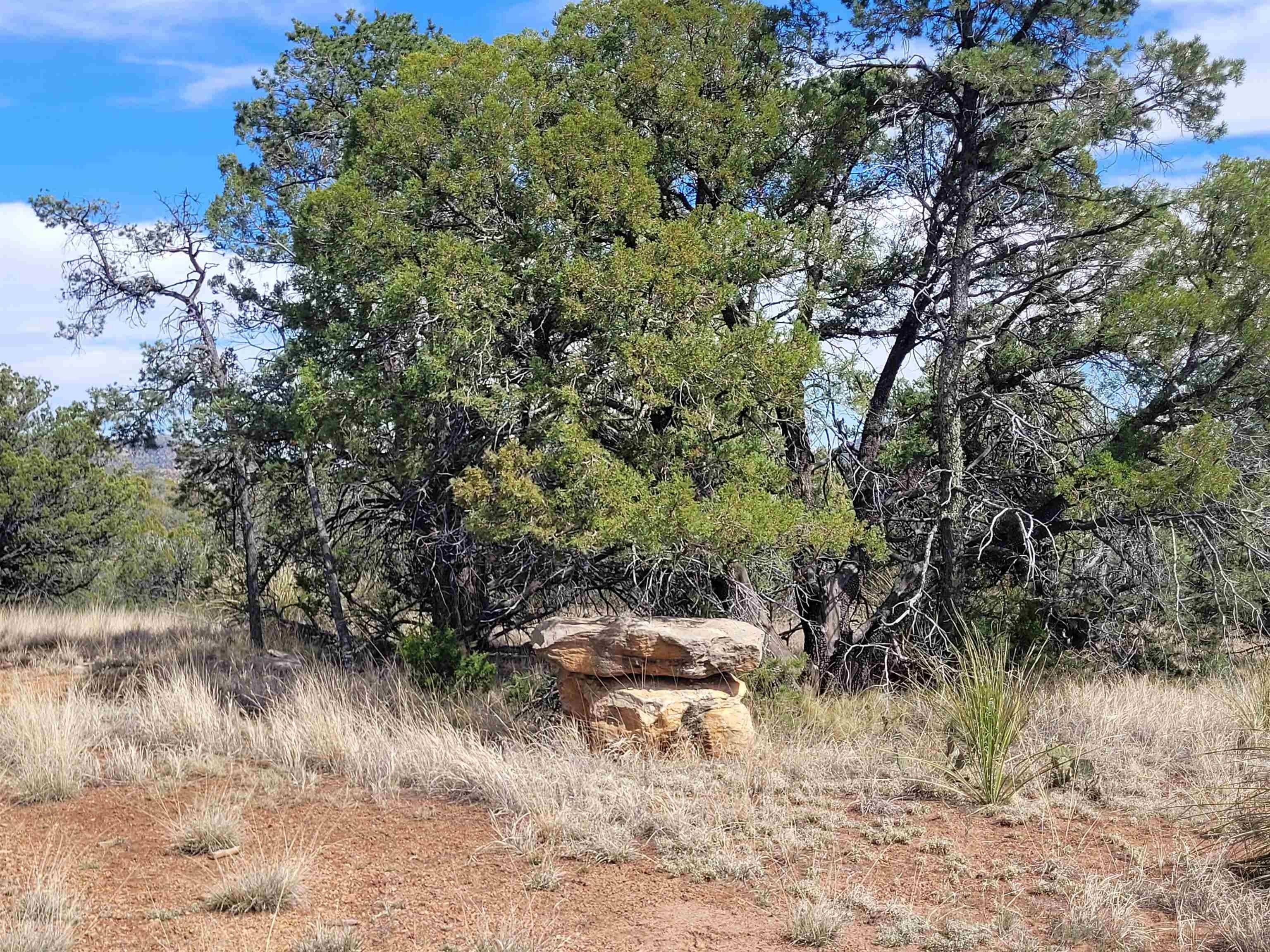 Land in Hanover, NM