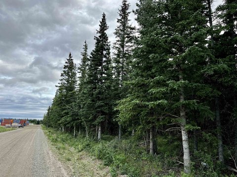 LAND, Delta, AK