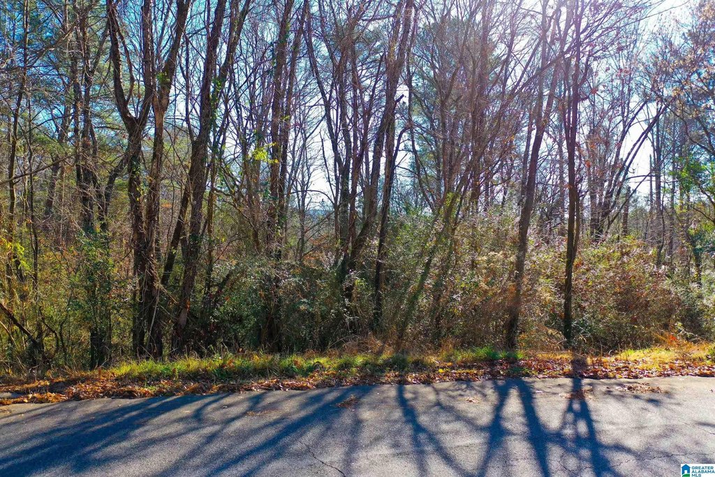 Picture 3