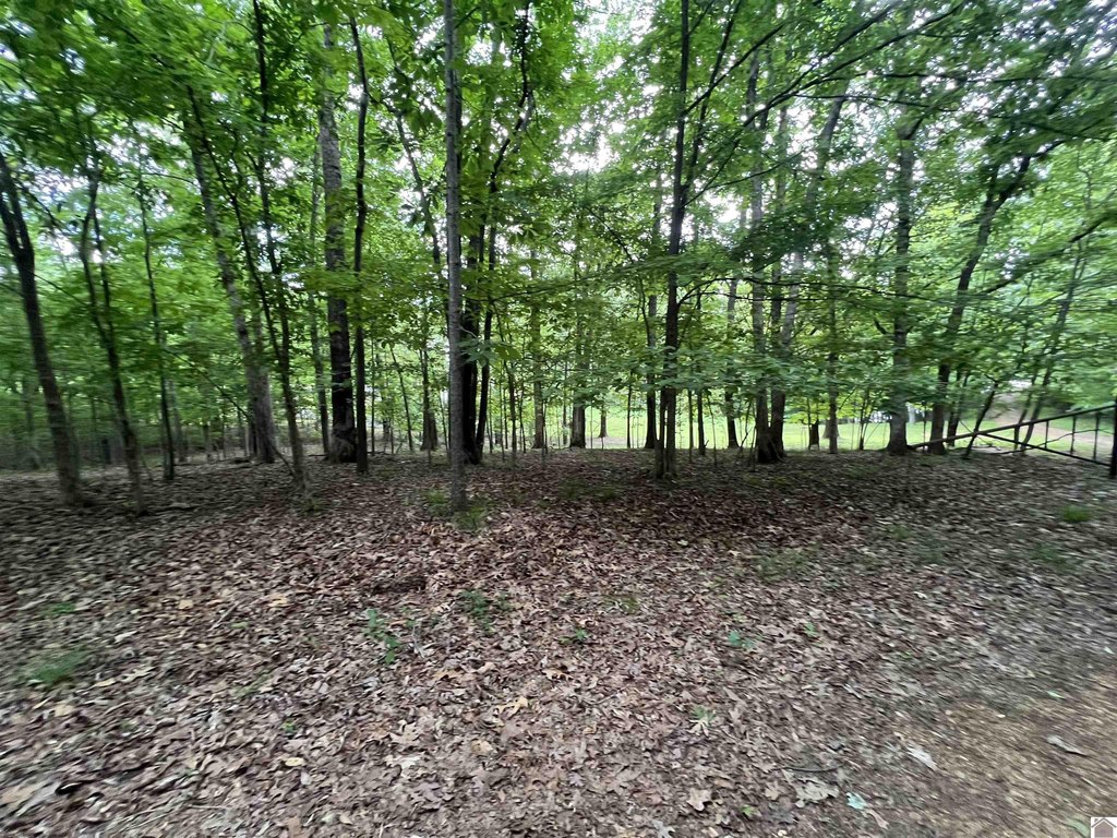 Picture 40