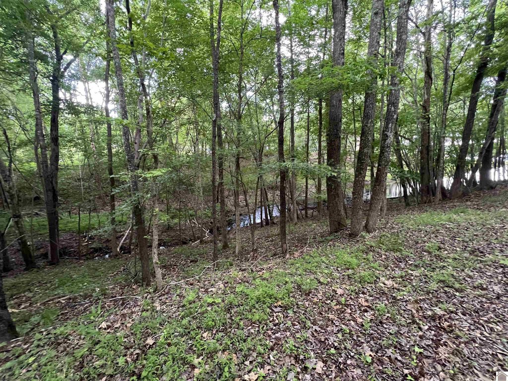 Picture 22