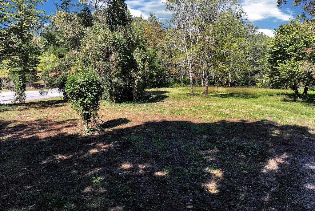Picture 22