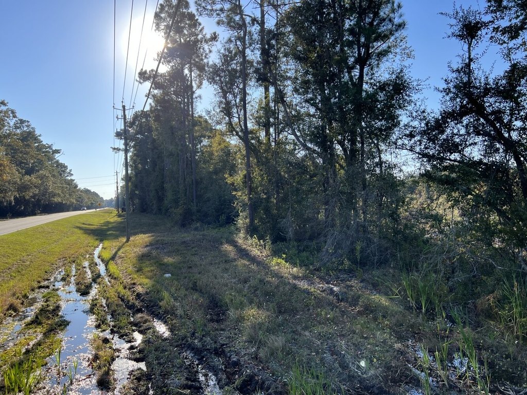 Picture 41