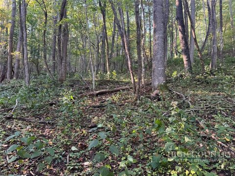 Land with Mountain View Potential