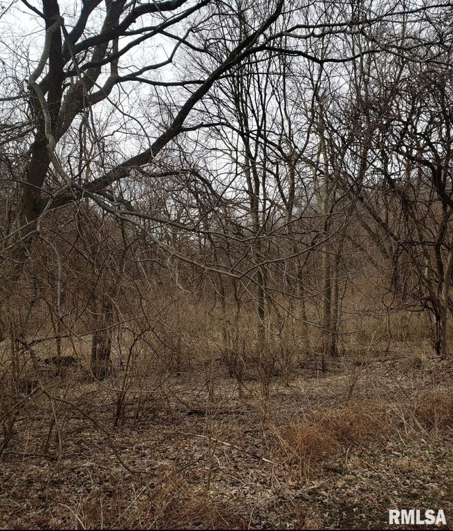 Picture 13