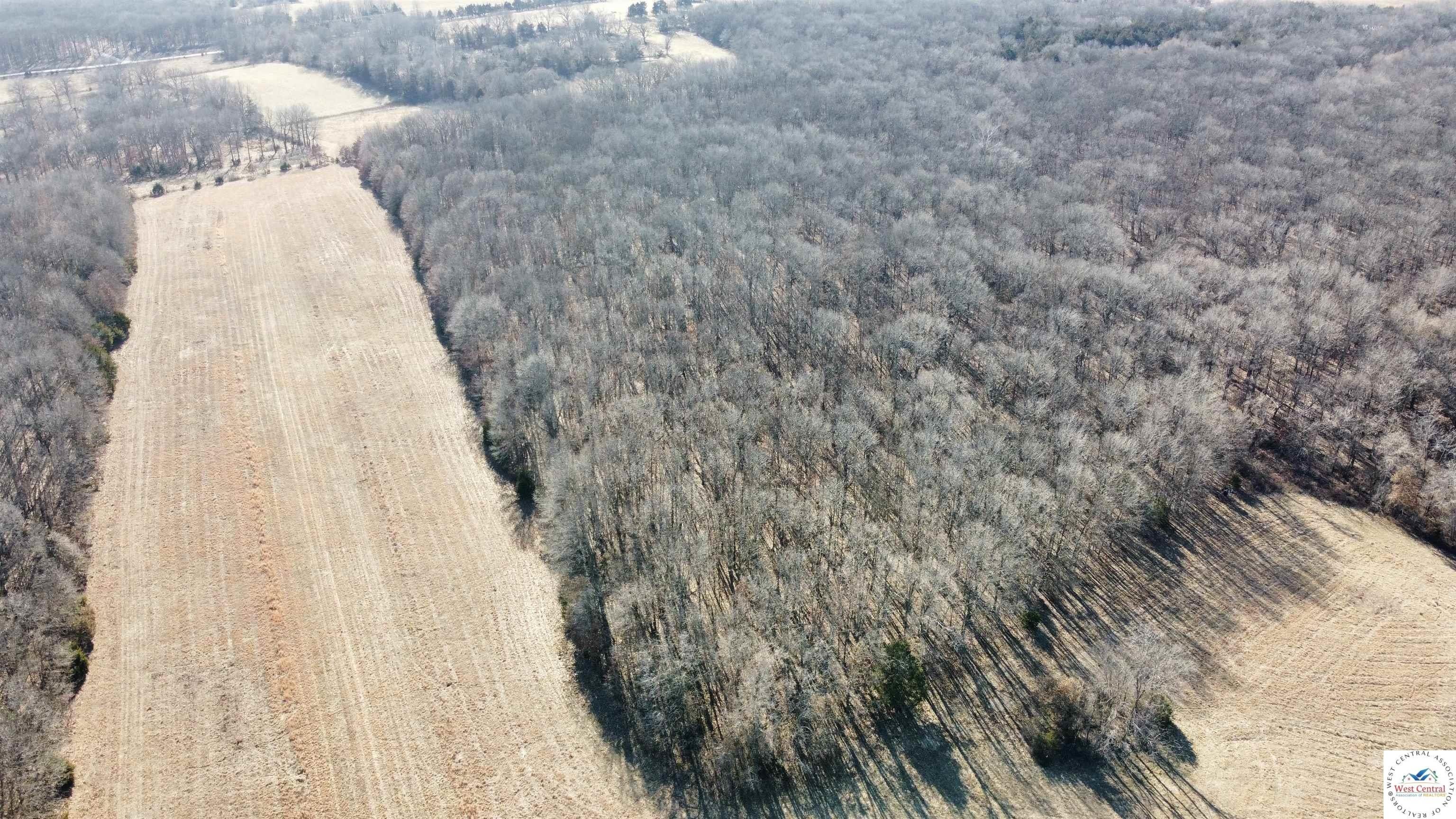 Edwards, MO Land with Runway