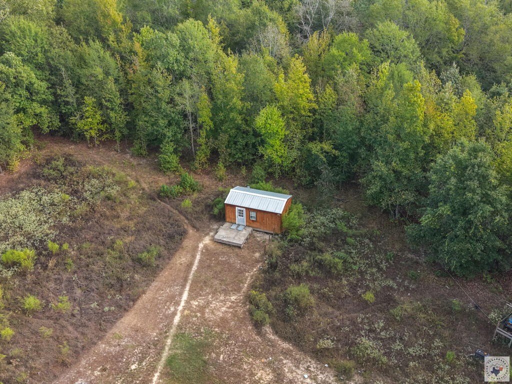 Picture 3