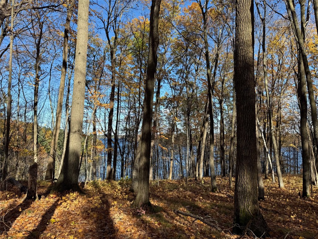 Picture 26