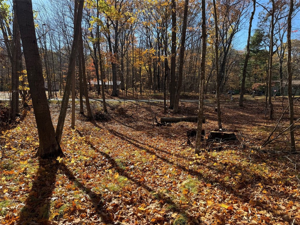 Picture 25