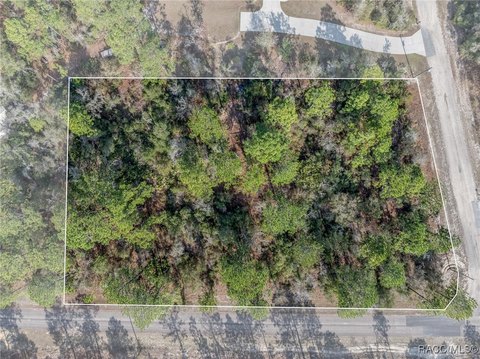 Citrus Springs Homesite Opportunity