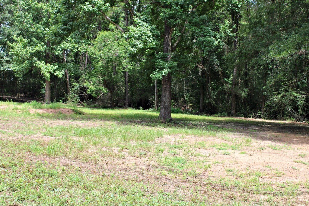 Picture 7