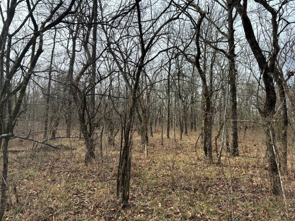 Picture 18