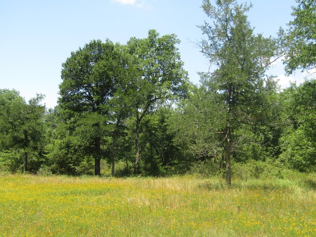 Picture 47