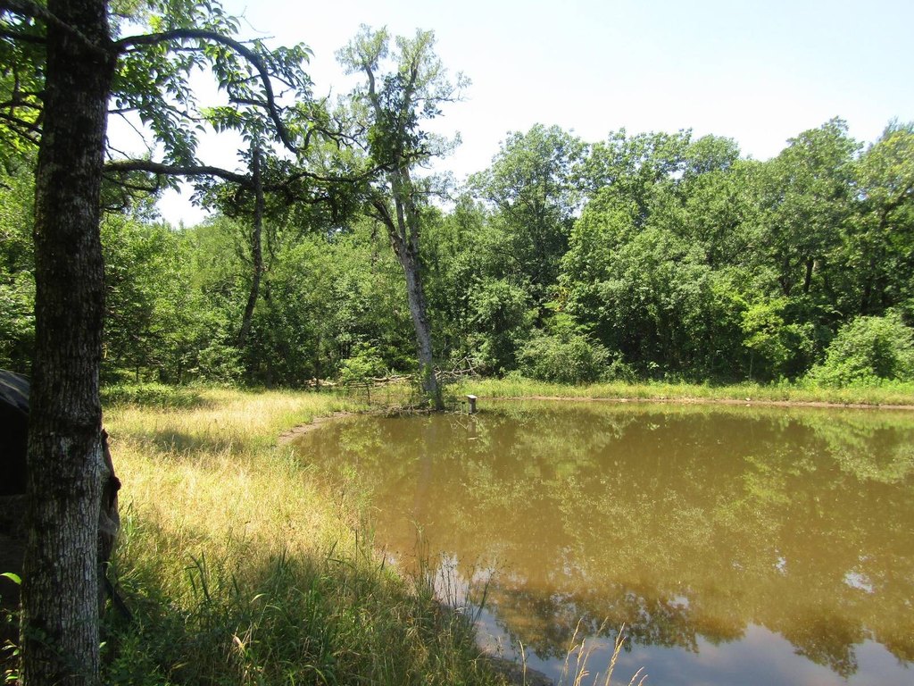 Picture 25