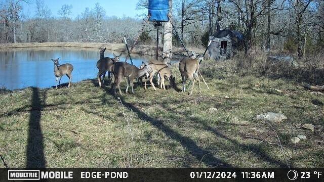 Picture 5