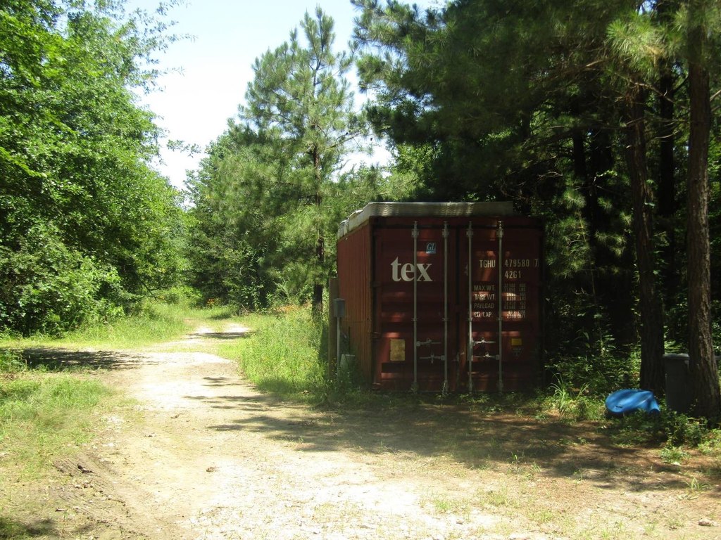 Picture 20